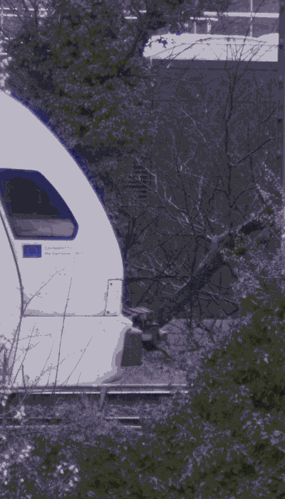 There should be a train video here :'(