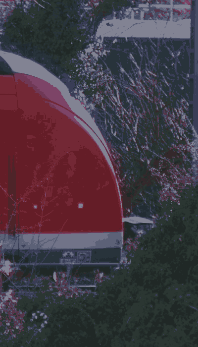 There should be a train video here :'(