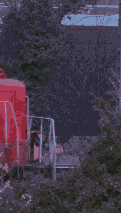 There should be a train video here :'(