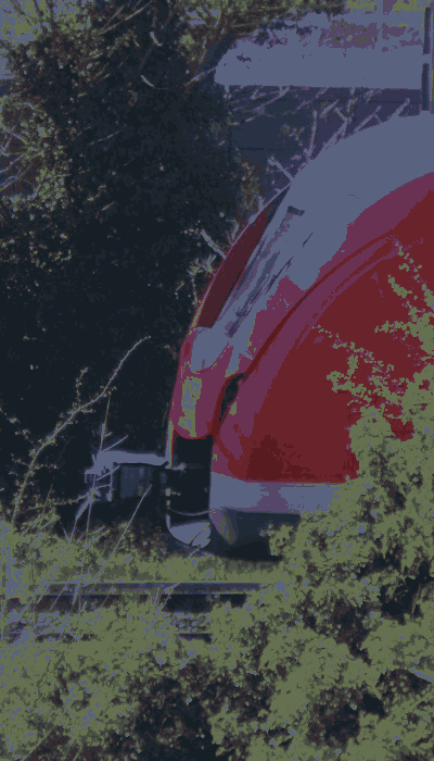 There should be a train video here :'(