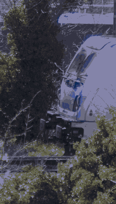 There should be a train video here :'(