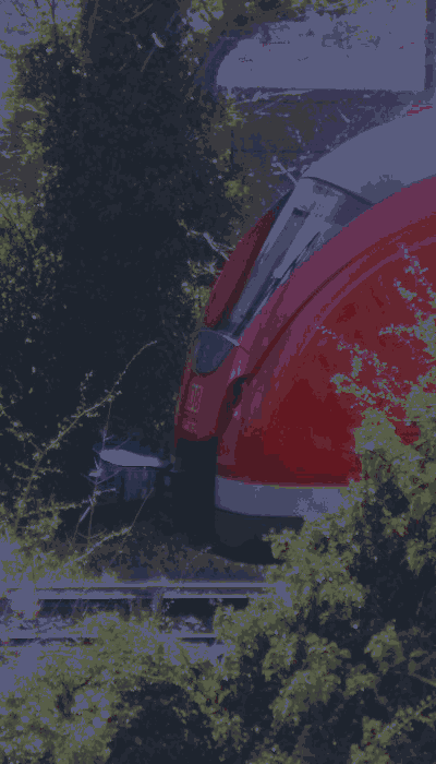 There should be a train video here :'(