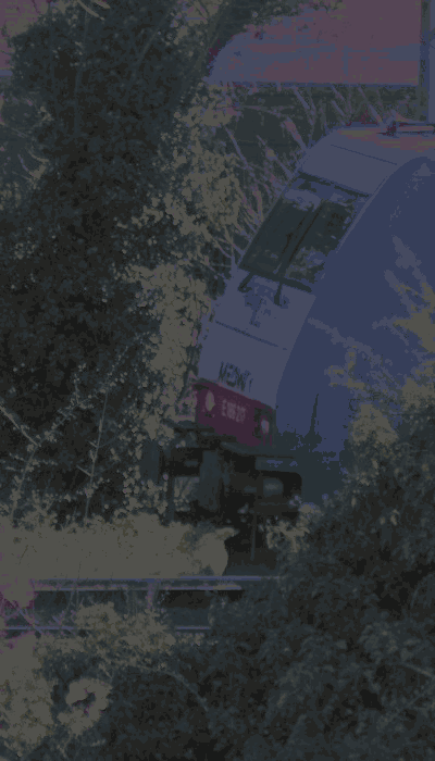 There should be a train video here :'(