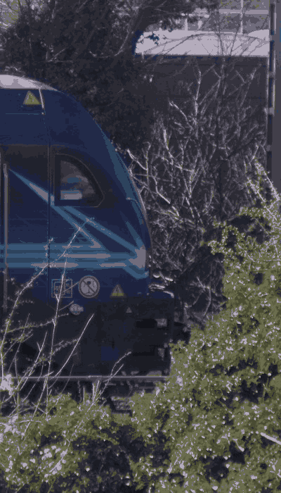 There should be a train video here :'(