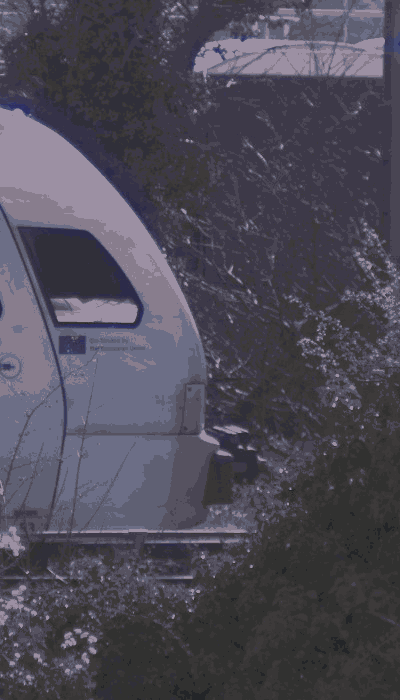 There should be a train video here :'(