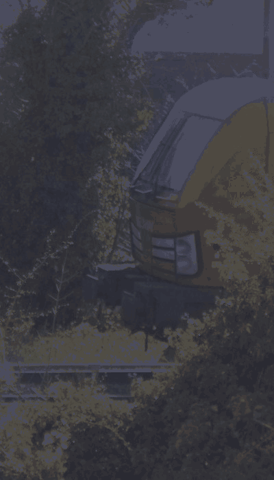 There should be a train video here :'(