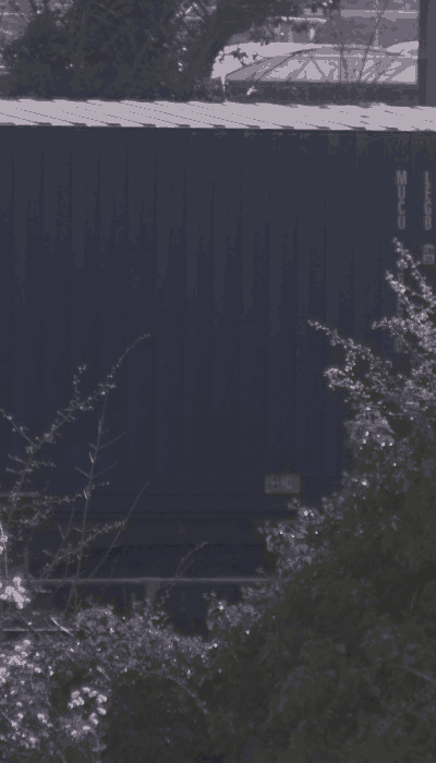 There should be a train video here :'(