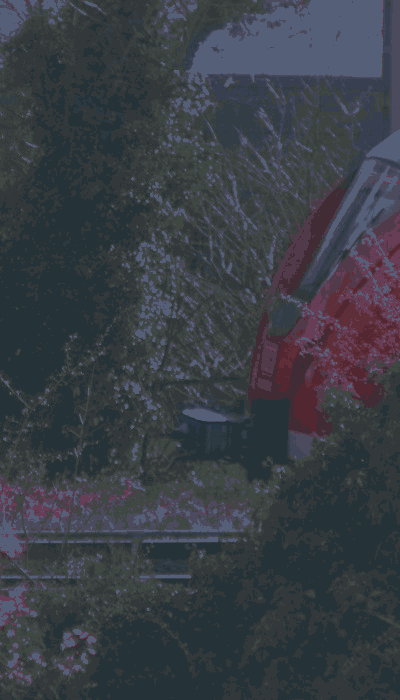 There should be a train video here :'(