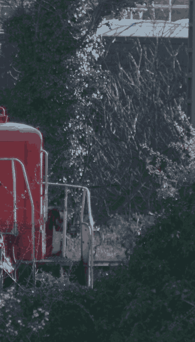 There should be a train video here :'(