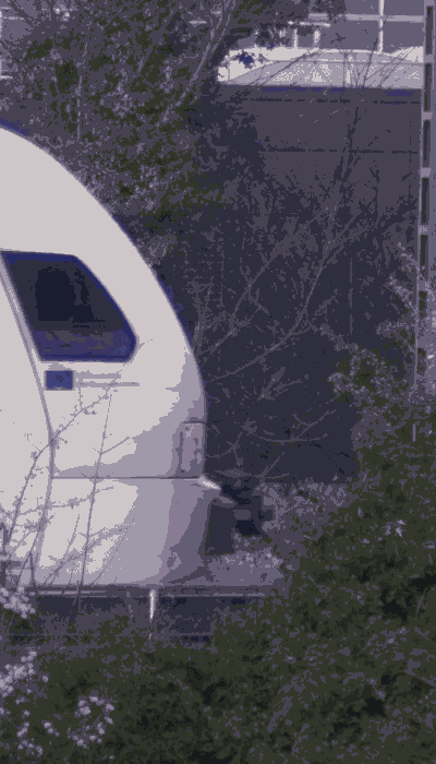 There should be a train video here :'(