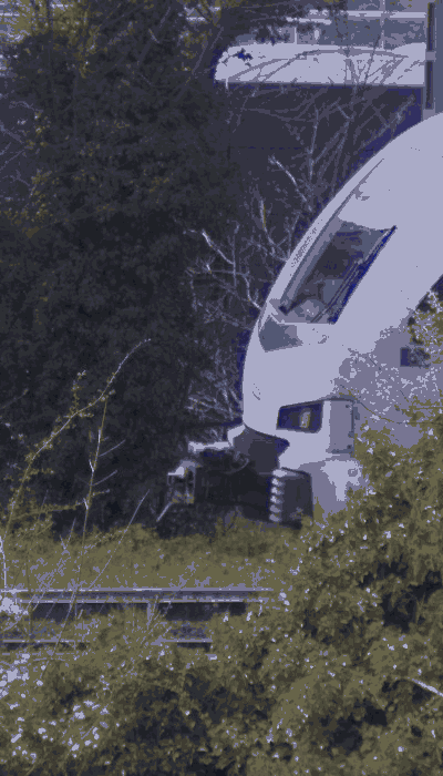 There should be a train video here :'(