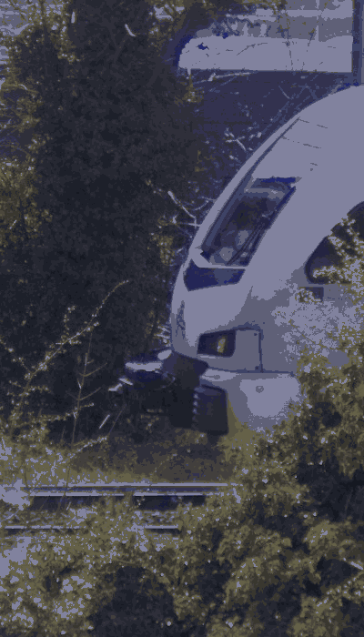 There should be a train video here :'(