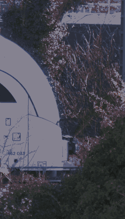 There should be a train video here :'(