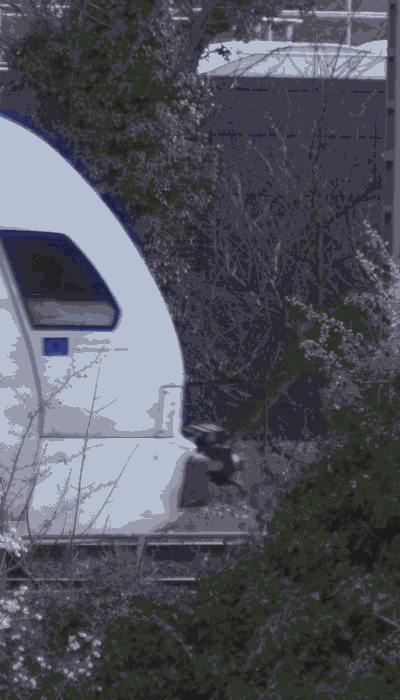 There should be a train video here :'(