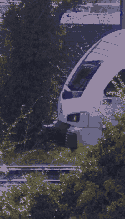 There should be a train video here :'(