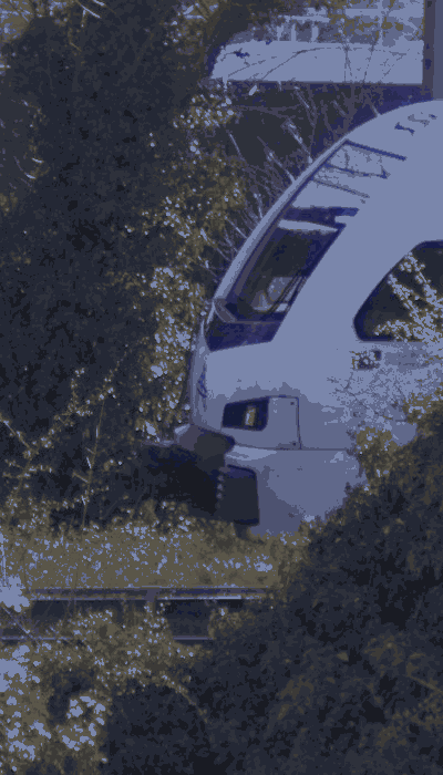 There should be a train video here :'(