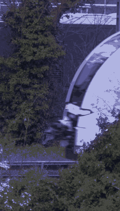 There should be a train video here :'(