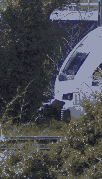 There should be a train video here :'(