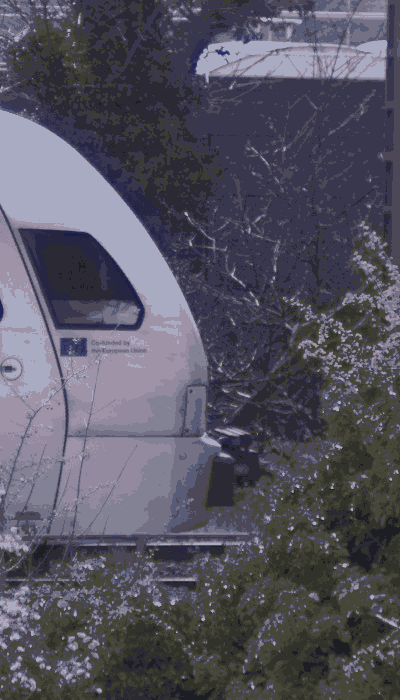 There should be a train video here :'(