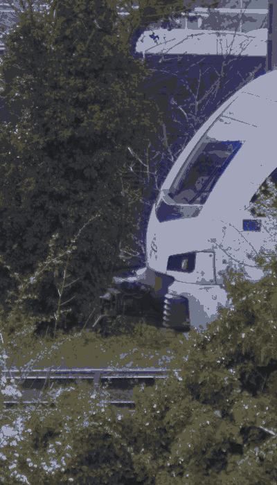 There should be a train video here :'(