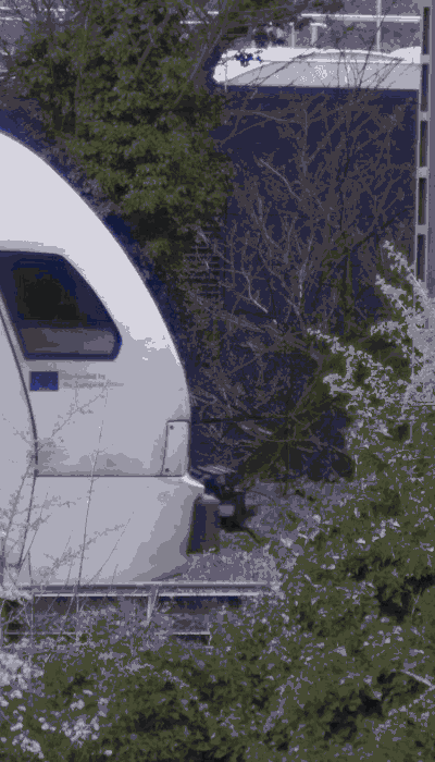 There should be a train video here :'(