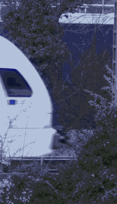 There should be a train video here :'(