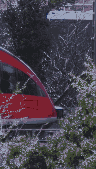 There should be a train video here :'(