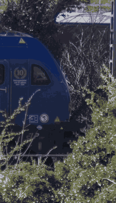 There should be a train video here :'(