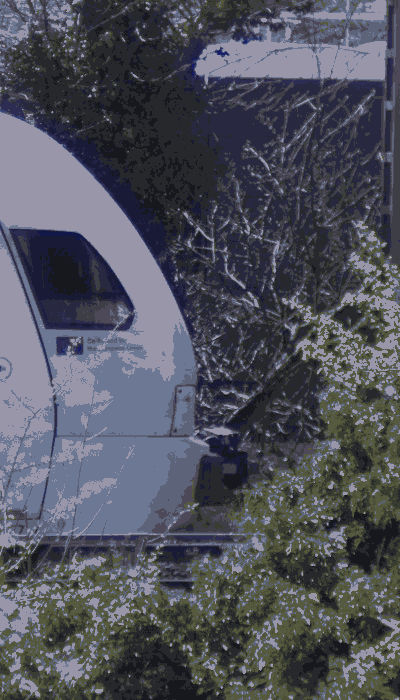 There should be a train video here :'(