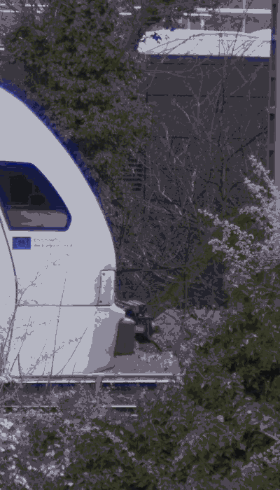 There should be a train video here :'(