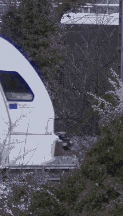 There should be a train video here :'(