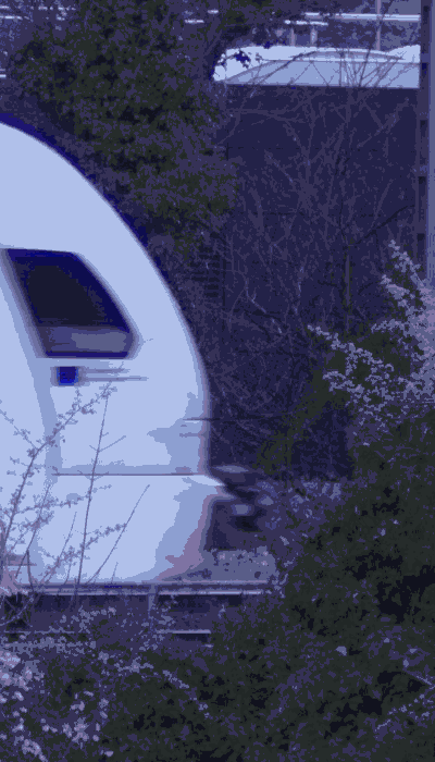 There should be a train video here :'(