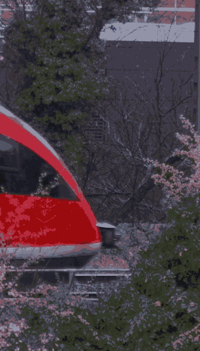 There should be a train video here :'(