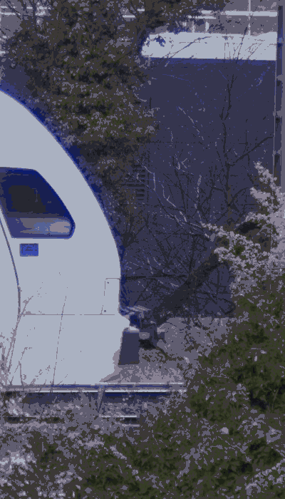 There should be a train video here :'(