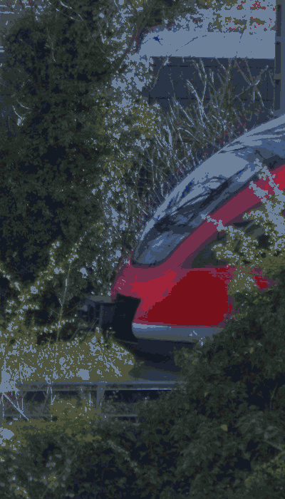 There should be a train video here :'(