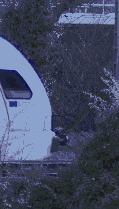 There should be a train video here :'(