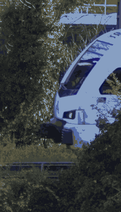 There should be a train video here :'(