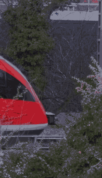 There should be a train video here :'(