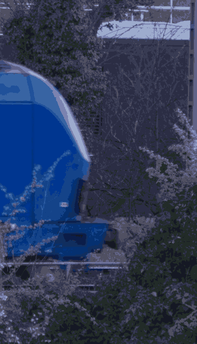 There should be a train video here :'(