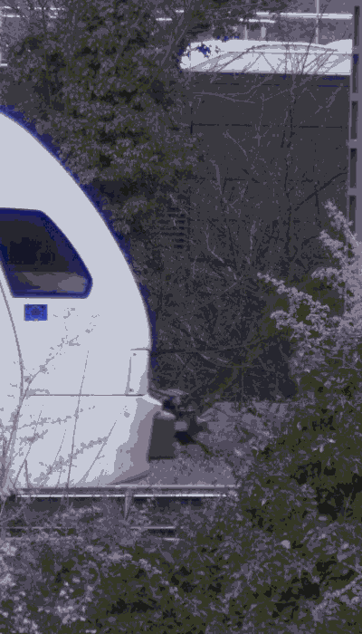 There should be a train video here :'(