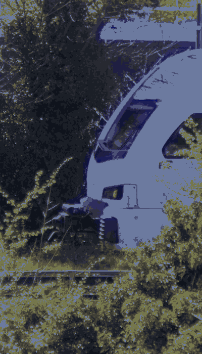 There should be a train video here :'(