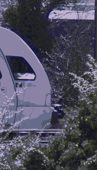 There should be a train video here :'(