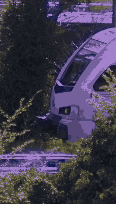 There should be a train video here :'(