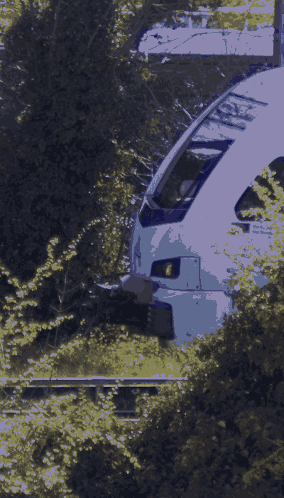 There should be a train video here :'(