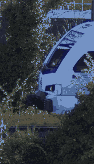 There should be a train video here :'(