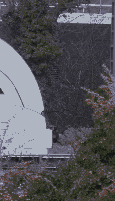 There should be a train video here :'(