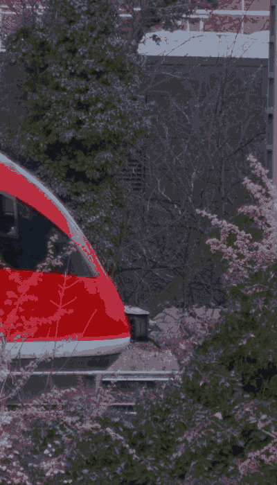 There should be a train video here :'(