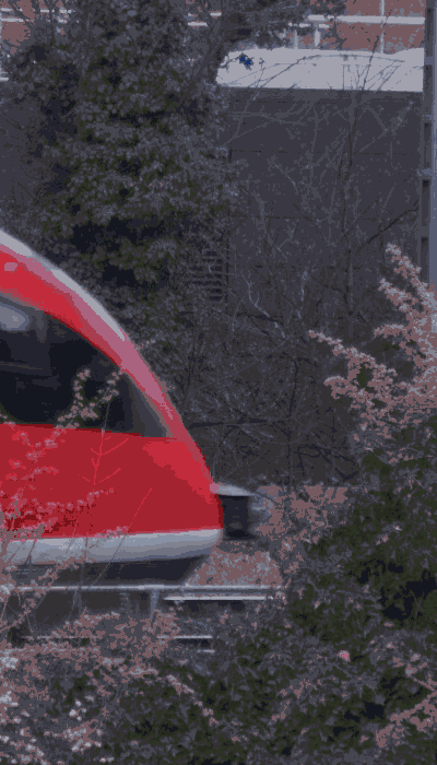 There should be a train video here :'(