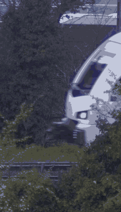 There should be a train video here :'(