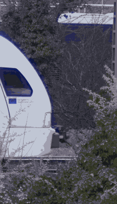 There should be a train video here :'(